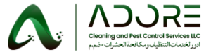 Adore_web_rectangle logo_updated001